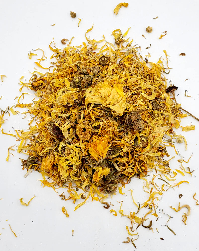 CALENDULA